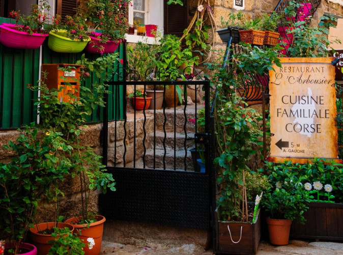 0061_conikon-corsican-4862860_1920 (1)